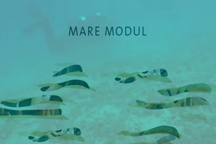 Mare Modul – keramička staništa za podmorje (online izložba)