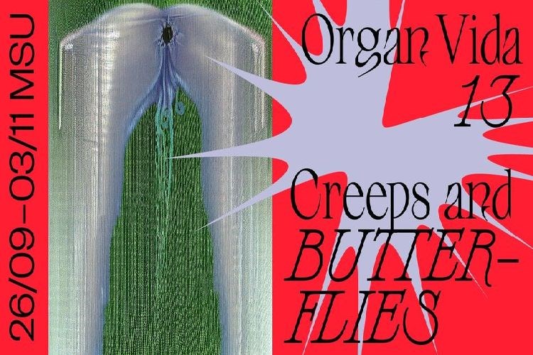 13. Organ Vida: 'Creeps and Butterflies'