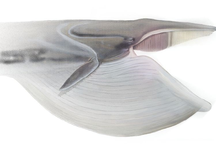 Tjelesno vokalni laboratorij – online radionice u siječnju