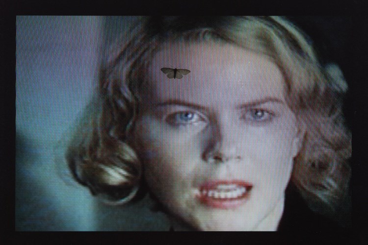 NMMU predstavlja izložbu 'Fragmenti melankolije' 