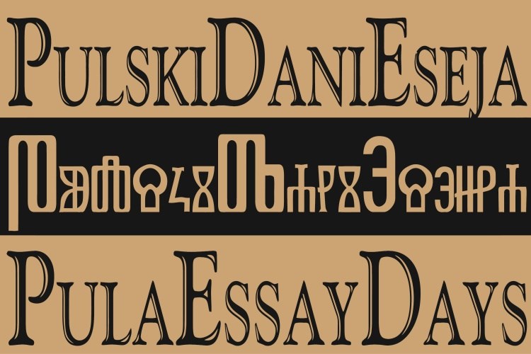 Pulski dani eseja 2021.